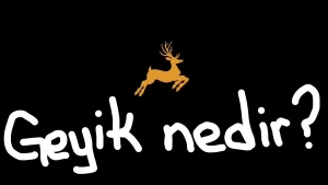 Geyik Sohbet Odaları